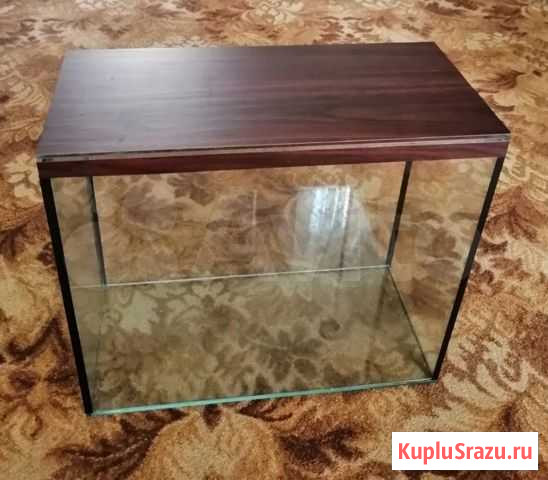 Аквариум Ростов-на-Дону - изображение 1