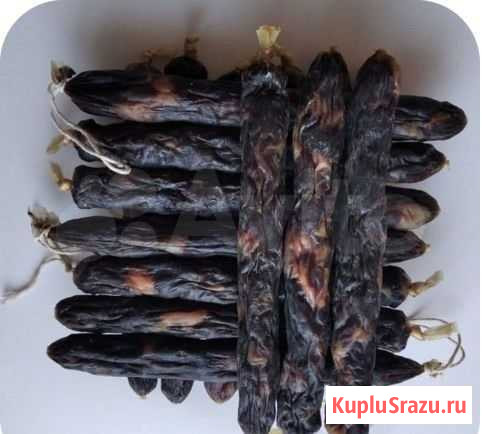 Казылык. Польза конины Бузулук - изображение 1