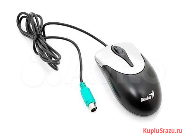 Мышь Genius Netscroll 100 PS/2 Каменск-Шахтинский - изображение 1