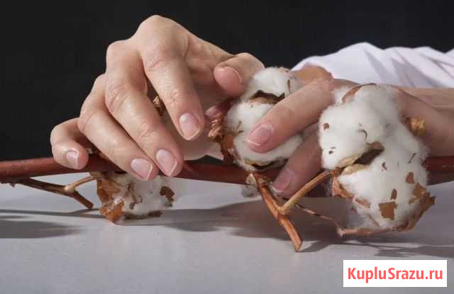 Маникюр, педикюр, наращивание ногтей Калининград - изображение 1