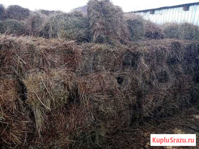 Сено Муром - изображение 1