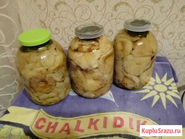 Грибы грузди Самара - изображение 1