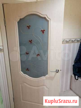 Дверь Псков - изображение 1