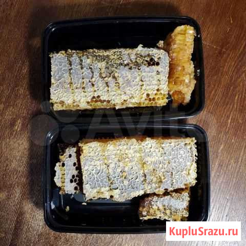 Мед в сотах Санкт-Петербург - изображение 1