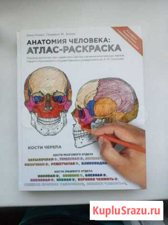 Книга анатомия человека Белгород - изображение 1