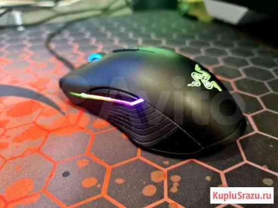 Razer Lancehead Tournament Edition Мурманск
