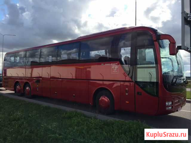 Автобусы и лимузины. Пассажирские перевозки Калининград - изображение 1