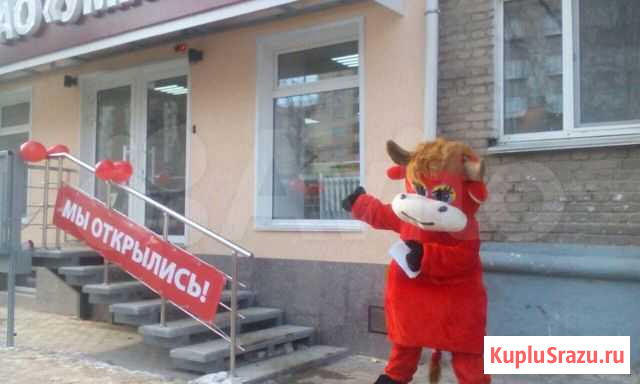 Овцы, бараны Уфа - изображение 1