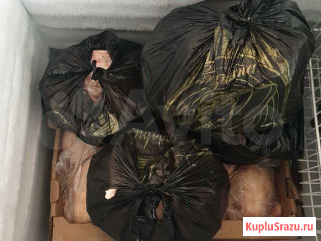 Куриные наборы Астрахань - изображение 1