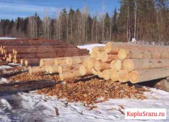 Свежеспилинный окореный лес для сруба Петрозаводск