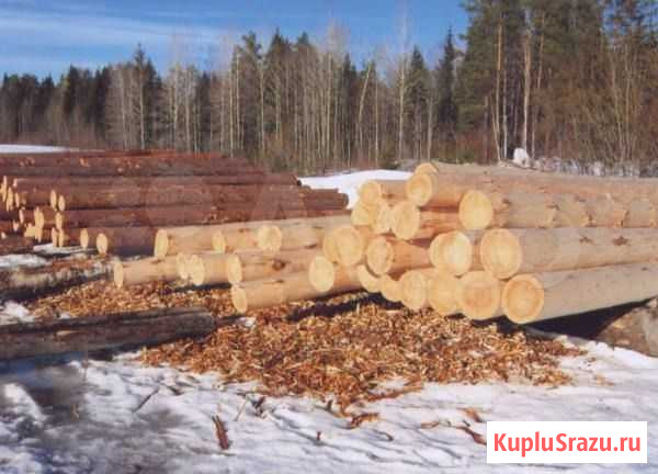 Свежеспилинный окореный лес для сруба Петрозаводск - изображение 1
