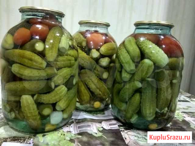 Огурцы маринованные Шарья - изображение 1