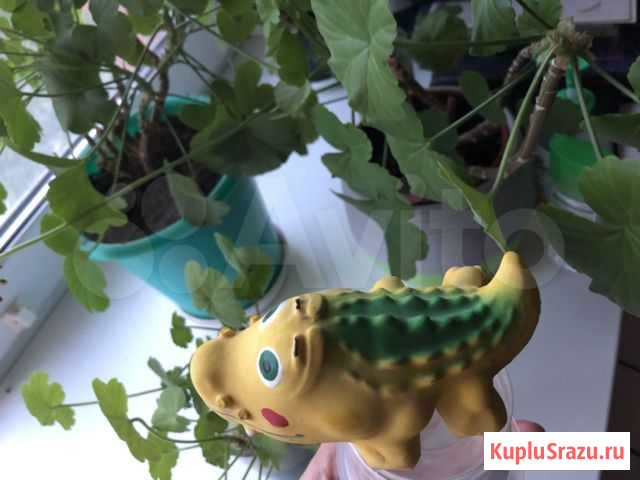 Игрушки для животных Сургут - изображение 1