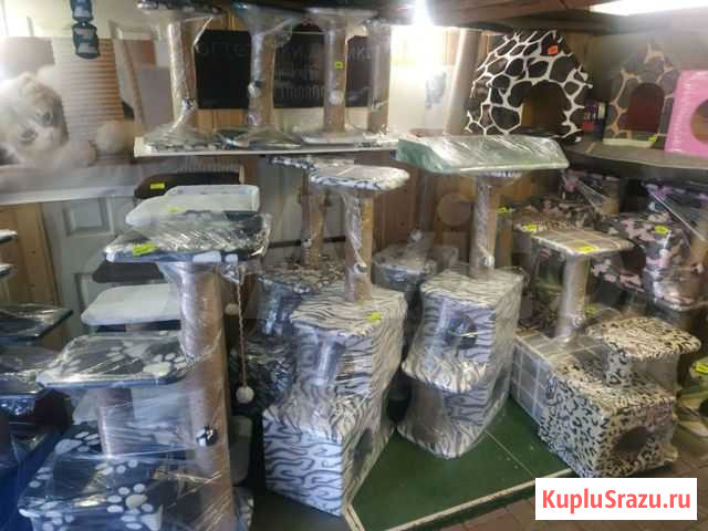 Когтеточки,комплексы Курск - изображение 1