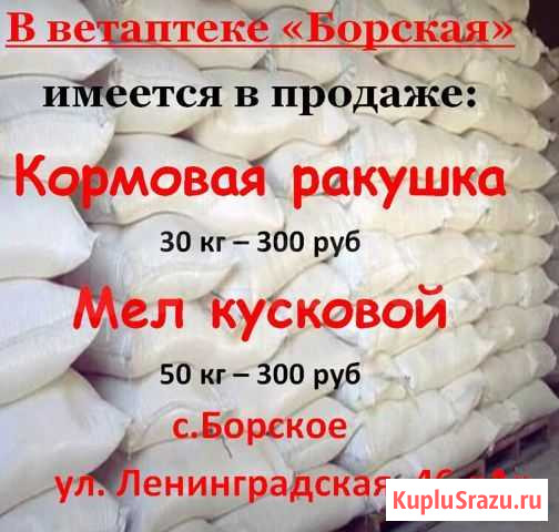Мел,ракушка кормовая для с/х животных Борское - изображение 1