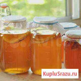 Чайный Гриб Йошкар-Ола