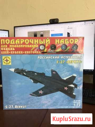 Сборная модель беркут Пермь - изображение 1
