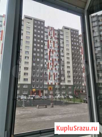 Москитная сетка антикошка Калининград - изображение 1