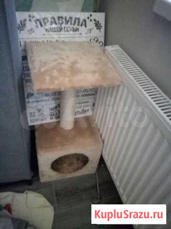 Домик когтеточка Электросталь - изображение 1