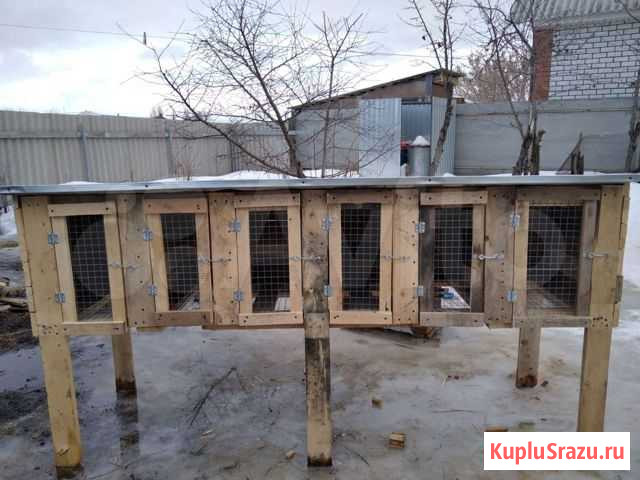 Клетка новая Борисоглебск - изображение 1