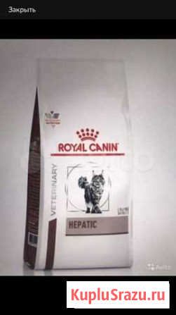 Корм для кошек royal canin 2 кг Мытищи - изображение 1