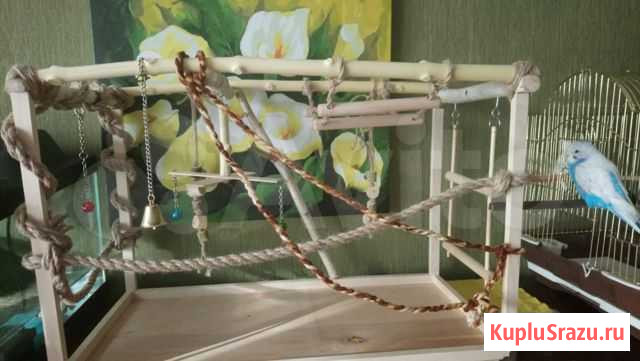 Игровая площадка, качели для попугаев Тольятти - изображение 1
