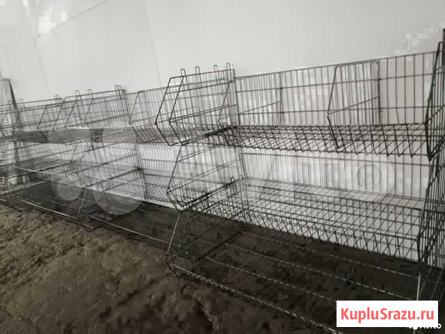 Корзины распродажные-овощные на Водолей и Нордика Омск - изображение 1