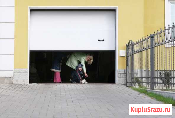 Алютех ворота, роллеты, алюминиевые фасады Уссурийск - изображение 1