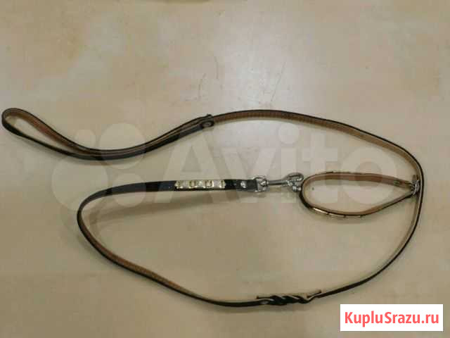 Поводок с ошейником Волхов - изображение 1