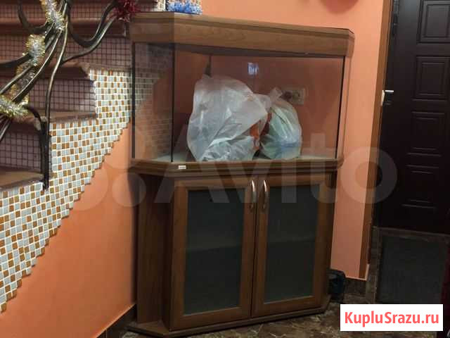 Аквариум Красногорск - изображение 1