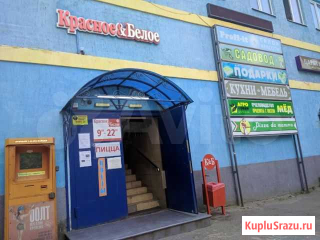 Продаю работающую пиццерию Дмитров - изображение 1