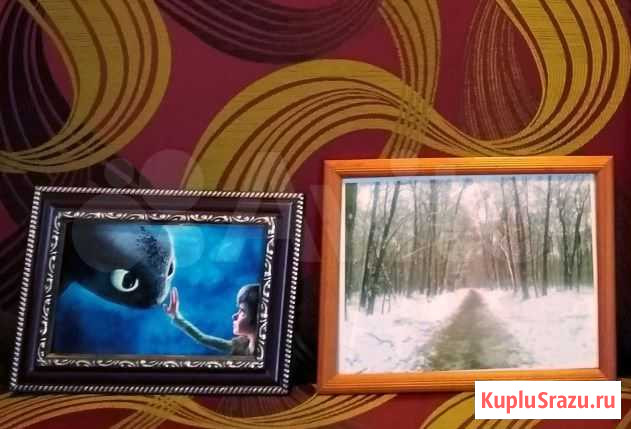 Фотодевайсы пакетом, обмен Воронеж - изображение 1