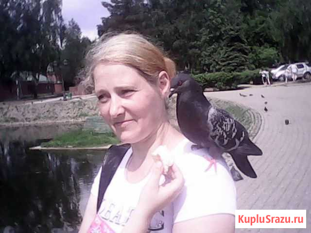 Уборка квартир Сергиев Посад - изображение 1