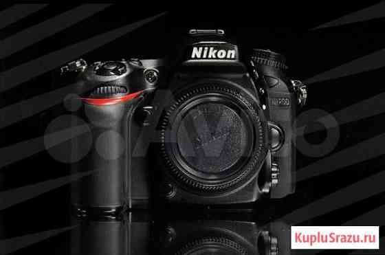 Nikon D7200 / 458 Кострома