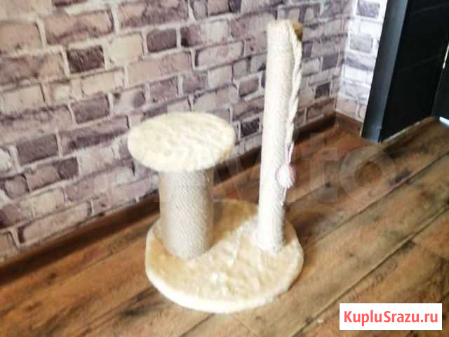 Когтеточка Комсомольск-на-Амуре - изображение 1