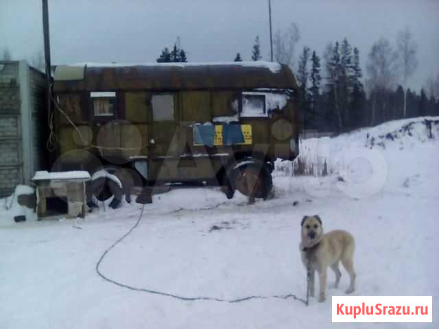 Вагончик бытовка на калесах Дмитров - изображение 1