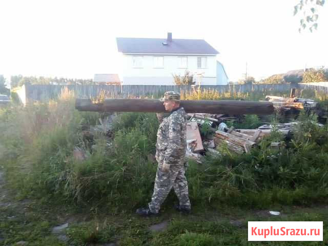 Трезвые грузчики -разнорабочие Команда Кострома - изображение 1