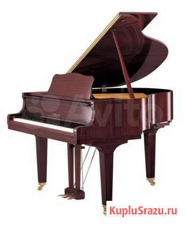 Yamaha GB1K PM акустический рояль с доставкой Новосибирск - изображение 1