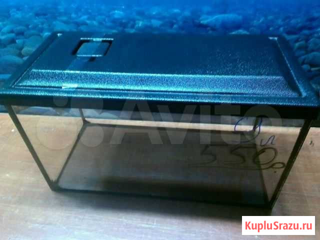 5литр с пластиковой крышкой Кемерово - изображение 1