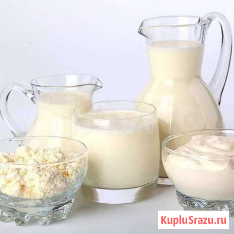 Домашний продукт Майкоп - изображение 1