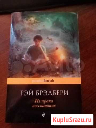 Из праха восставшие. Рэй Брэдбери Елец - изображение 1