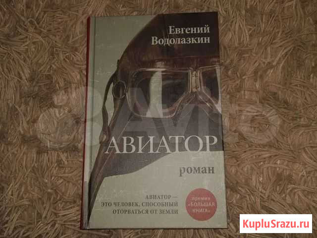 Авиатор Евгений Водолазкин Мичуринск - изображение 1