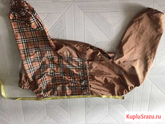 Комбинезон для собаки(мальчик) Тюмень - изображение 1