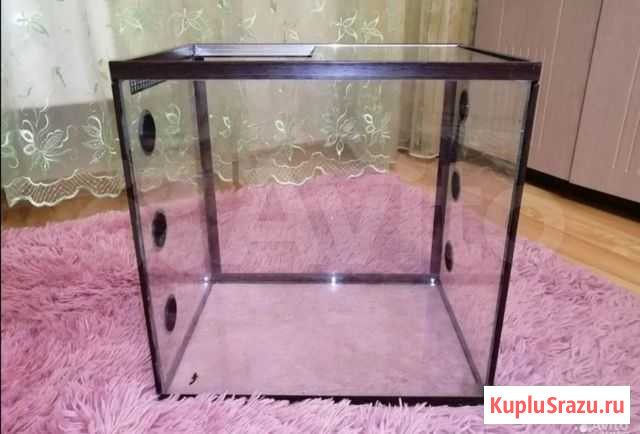 Продам террариум Томск - изображение 1