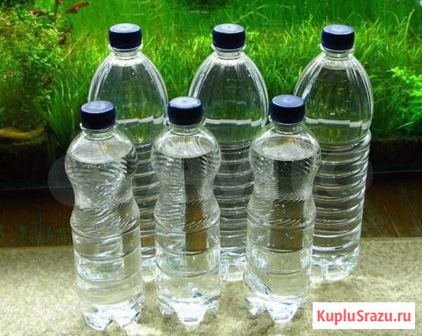Защита от Водорослей Томск - изображение 1