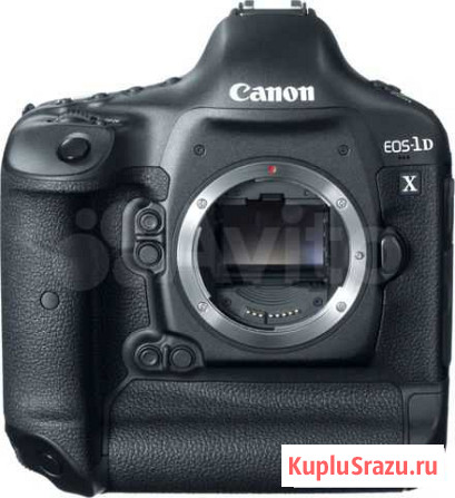 Canon 1Dx Body + стёкла (возможен обмен) Владимир - изображение 1