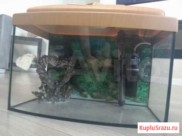 Аквариум Калининград - изображение 1