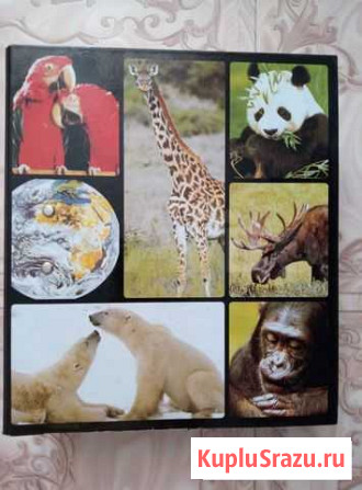 Большая энциклопедия Усть-Илимск - изображение 1