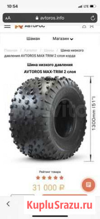 Авторос Шины низкого давления 700/55/21 Томск - изображение 1
