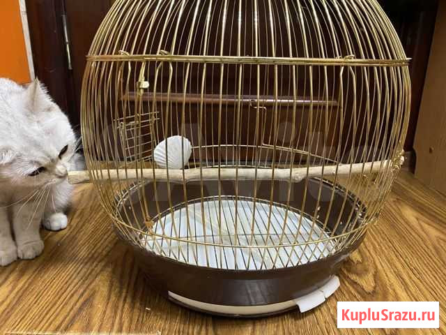 Клетка для попугая Махачкала - изображение 1